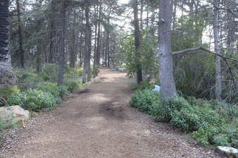 Enlarge photo 6
