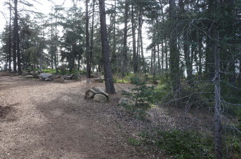 Enlarge photo 11