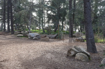 Enlarge photo 12
