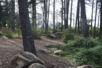 Enlarge photo 14
