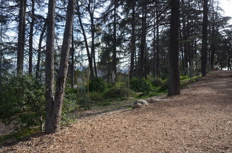 Enlarge photo 15