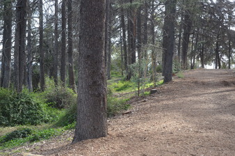 Enlarge photo 16