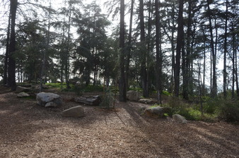Enlarge photo 18