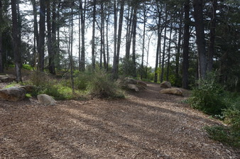 Enlarge photo 19