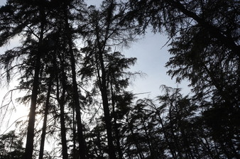 Enlarge photo 20