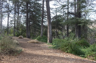 Enlarge photo 21
