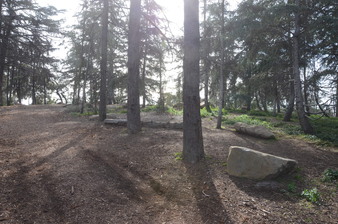 Enlarge photo 23