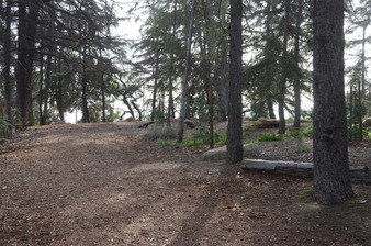 Enlarge photo 24
