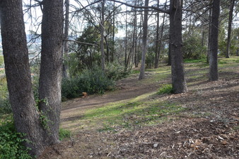Enlarge photo 25