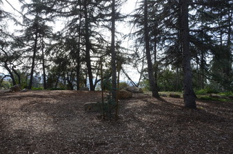 Enlarge photo 28