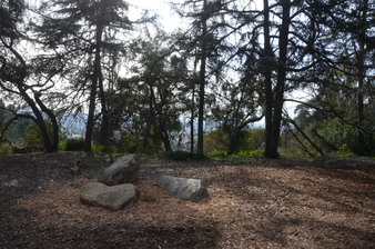 Enlarge photo 29