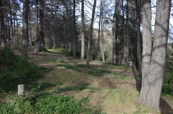 Enlarge photo 37