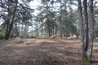 Enlarge photo 40