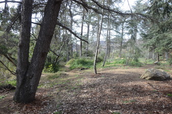 Enlarge photo 42