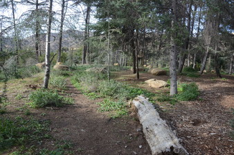 Enlarge photo 44