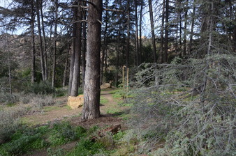 Enlarge photo 47