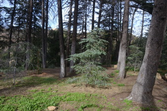 Enlarge photo 48
