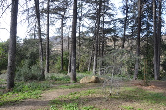 Enlarge photo 49