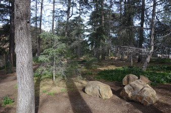 Enlarge photo 50