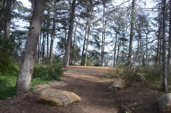 Enlarge photo 51
