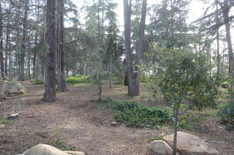 Enlarge photo 52