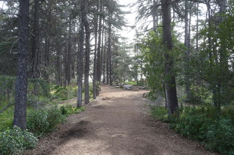 Enlarge photo 55