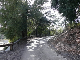 Enlarge photo 1