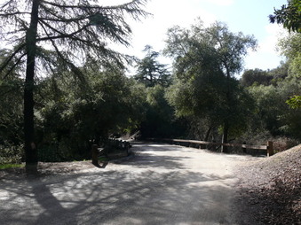 Enlarge photo 3