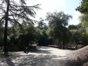 Enlarge photo 4