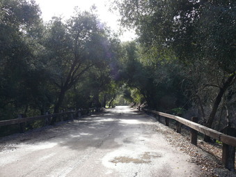 Enlarge photo 5
