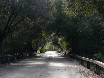 Enlarge photo 7
