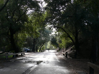 Enlarge photo 8