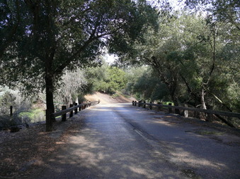 Enlarge photo 10