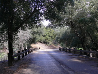 Enlarge photo 11
