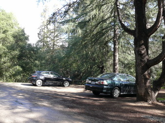 Enlarge photo 17