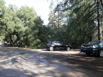 Enlarge photo 19