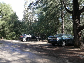 Enlarge photo 20