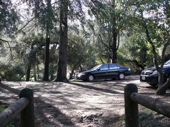 Enlarge photo 25