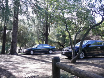 Enlarge photo 26