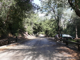 Enlarge photo 31
