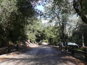Enlarge photo 32
