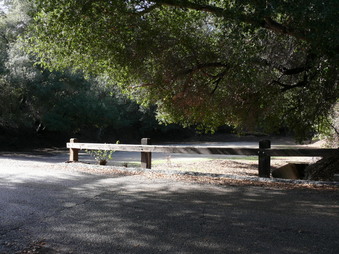 Enlarge photo 33
