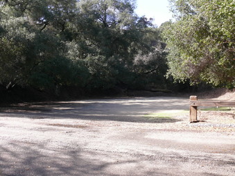 Enlarge photo 34