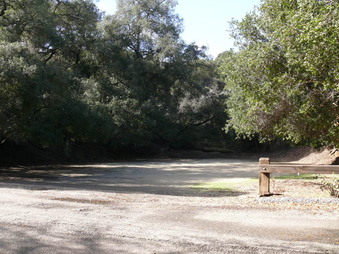 Enlarge photo 35