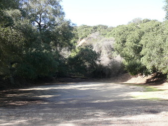 Enlarge photo 36
