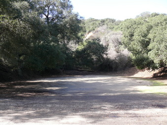 Enlarge photo 37