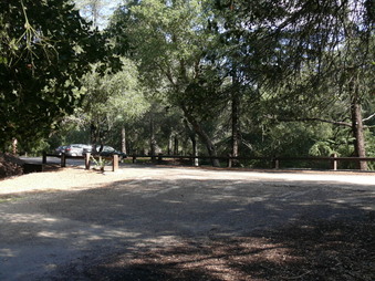 Enlarge photo 39