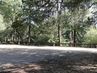 Enlarge photo 40