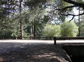 Enlarge photo 41