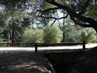 Enlarge photo 42